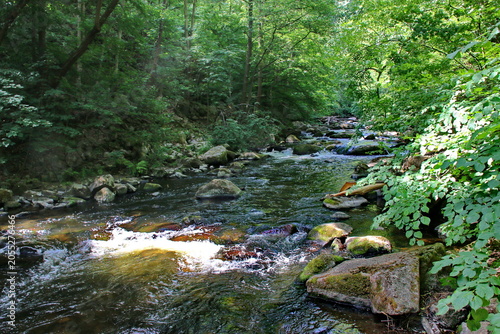 Obraz na płótnie Das Bodetal bei Thale