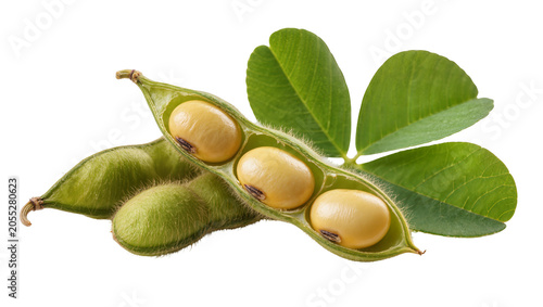 Foto Isolated fresh green edamame pods showing raw yellow soybeans and lush green lea