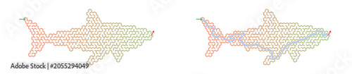 Outline of two sharks in maze pattern design  