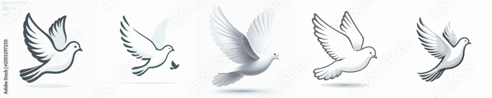 Obraz premium Dove Vector Illustration