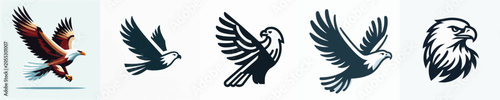 Fototapeta premium Eagle Vector Illustration