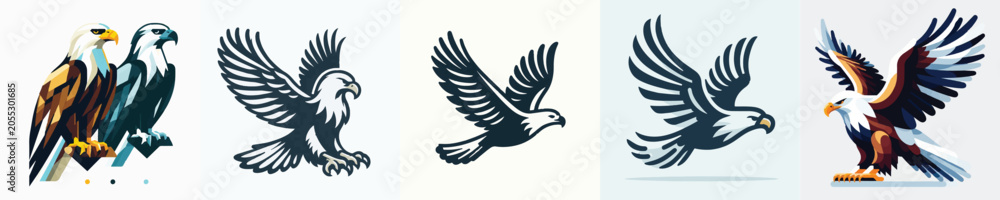 Fototapeta premium Eagle Vector Illustration