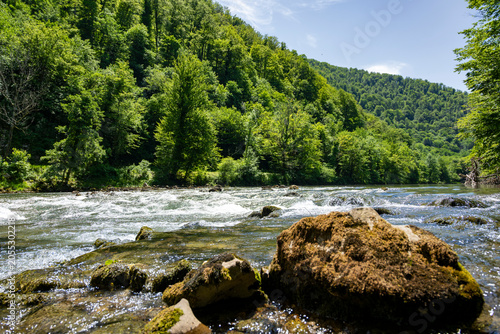 Low angle view of the Kolpa Kupa River flowing over mossy rocks through a lush green forest valley, showcasing ecotourism and pristine wilderness