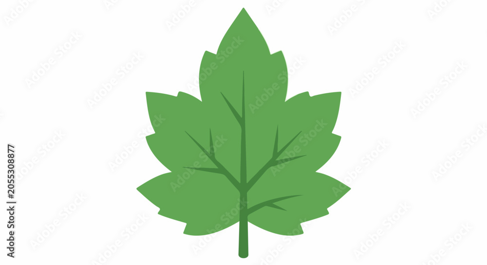 Fototapeta premium A simple, stylized green leaf with visible veins against a white background