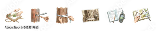 Foto Illustrations depicting forestry research and tree measurement techniques for sc