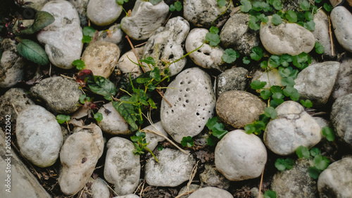 Pile of stones behind the house backyard