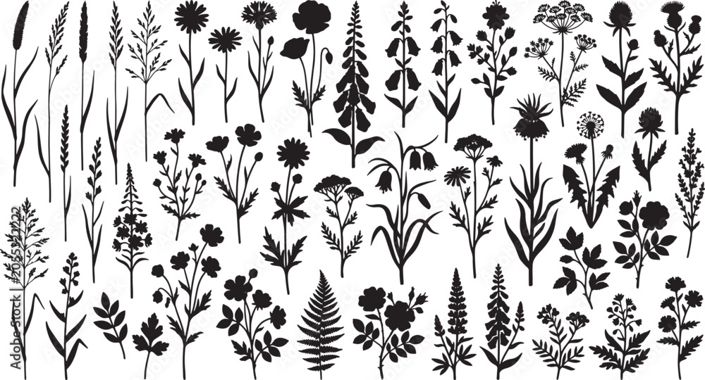 Fototapeta premium Wildflower and grass silhouettes collection featuring various botanical elements for nature themed graphic design vector illustration set