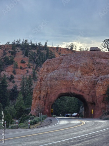 Landscape Sceneries in Zion National Park