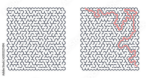 Maze pattern with solution path highlighted in red outline  