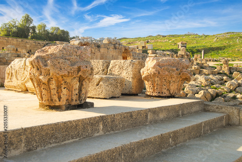 фотографія Fragments of architectural decoration from the ancient Roman city of Gerasa, now