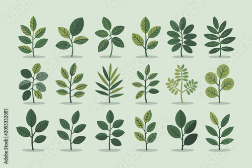 Collection of assorted green plant leaves and foliage icons with botanical