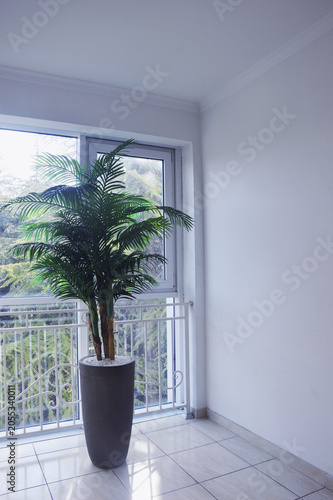 A green palm tree in a tall modern planter by the window on a light tiled floor next to a picture window and balcony. A decorative plant in the hallway.