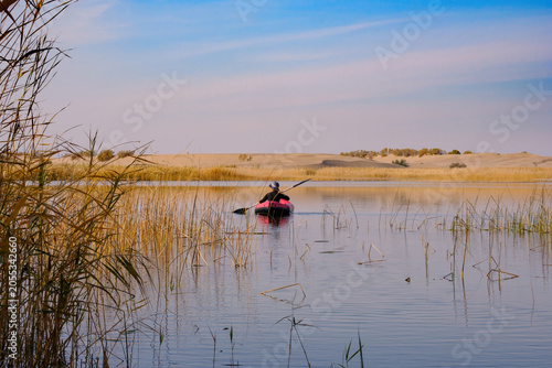 Rear view of a person kayaking in a calm lake surrounded by reeds with desert dunes in the background. Commercial travel lifestyle image with copy space for outdoor adventure concepts.