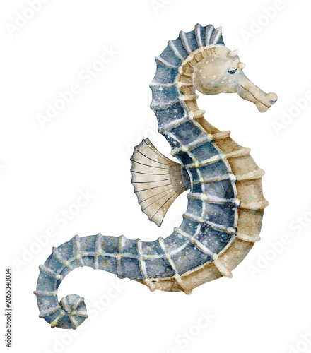 Seahorse watercolor illustration. Blue marine sea animal isolated on background. Ocean wildlife element for nautical themes, coastal artwork and aquatic design projects. Art of marine fish.