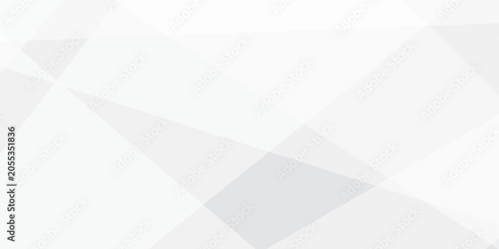 Obraz premium Geometric abstract background with white and gray shapes and lines for modern design and technology concepts