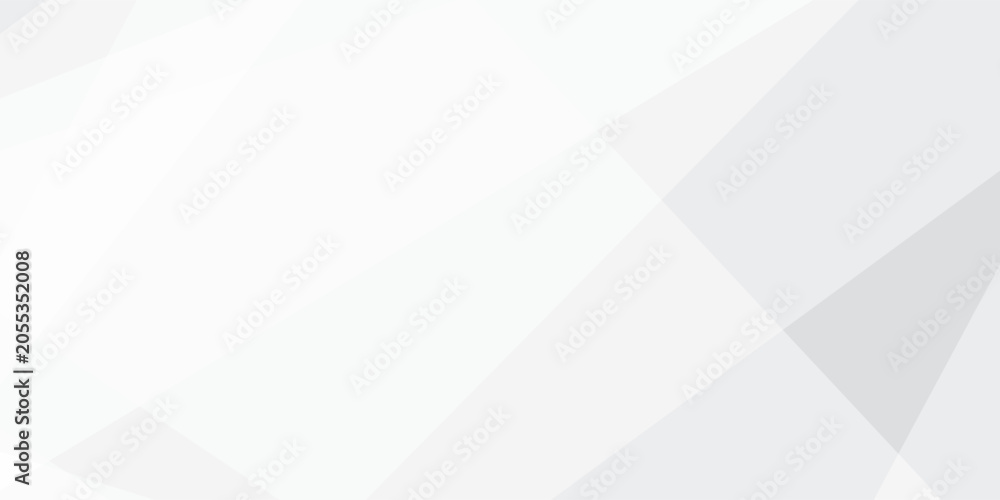 Obraz premium Geometric abstract background with white and gray shapes and lines for modern design and technology concepts