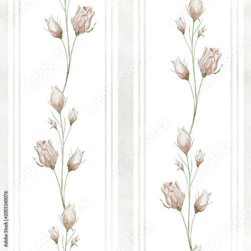 Rose seamless striped pattern with blooming roses and botanical elements. Watercolor illustration of vintage floral background with stripes and flowers for wallpaper, fabric and stationery.