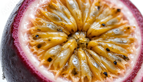 Close up slice of grapefruit fresh juicy citrus fruit isolated healthy diet snack