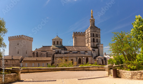View of Notre Dame des Doms Cathedral with its golden Virgin statue rising above historic architecture and green trees in Avignon, France on a sunny day.