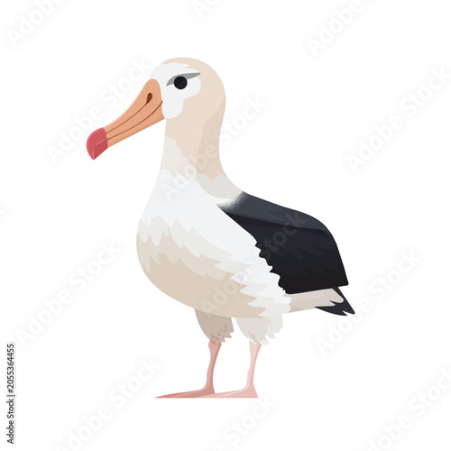 Принти на полотні Albatross flat vector illustration in a modern and simple 2D style, placed on a white background