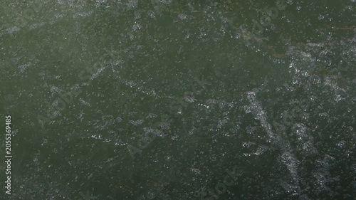 Bubbling green water surface moving slowly