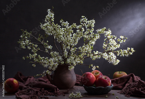 Still life with apples and a bouquet of flowering cherry branches in a clay jug on a dark background.