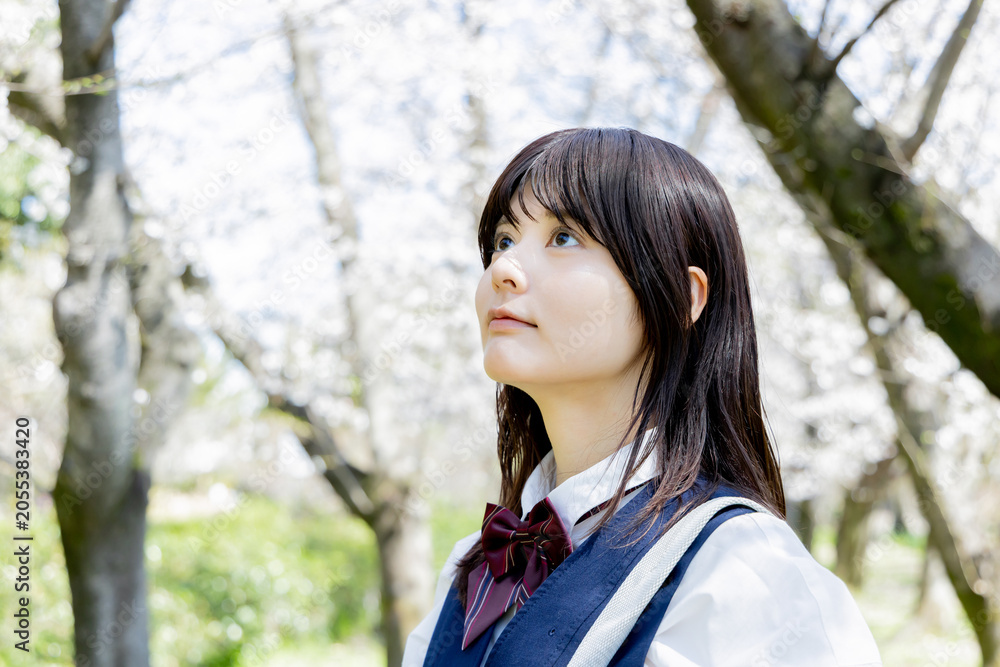 Fototapeta premium 桜並木の中で微笑む女子高校生の春のポートレート