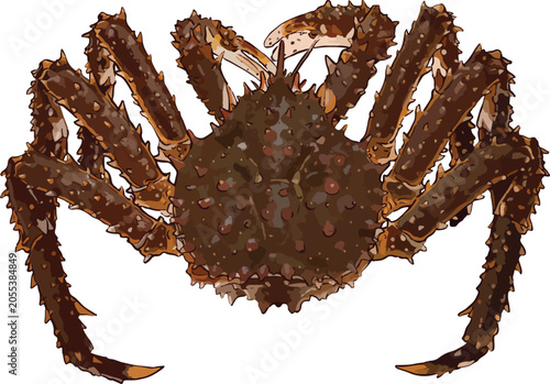 Quadro em tela Vector illustration of a brown king crab (Paralithodes camtschaticus) with spiky