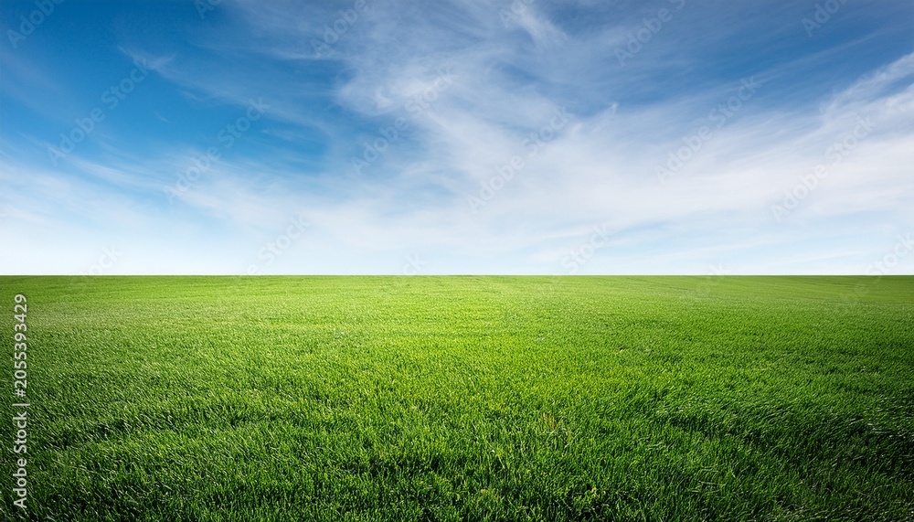 Obraz premium Green Grass Field With Transparent Background Extending Into Empty Space