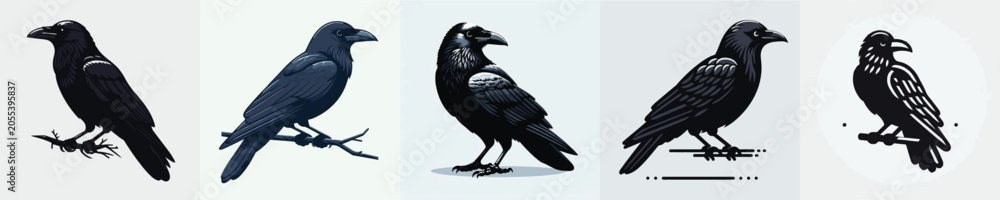 Fototapeta premium Raven Vector Illustration