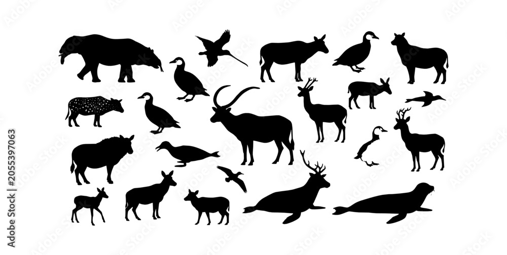 Obraz premium Collection of various wild animal silhouettes including deer, birds, and marine mammals vector art