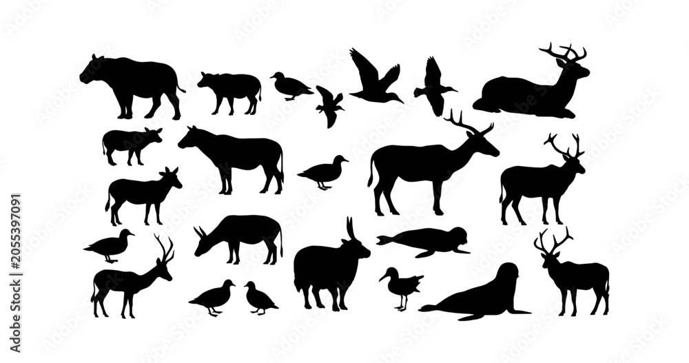 Obraz premium Collection of various wild animal silhouettes vector art