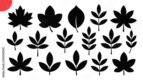 Foto Collection of black maple leaves in various shapes and orientations Vector