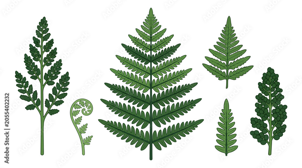 Fototapeta premium Vibrant green hand-drawn evergreen tree illustrations on clean white background, concept for nature conservation, educational materials, and eco-friendly branding designs
