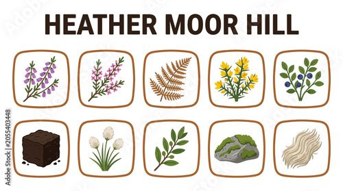 Valokuva Collection of Heather Moor Hill Flora and Elements.
