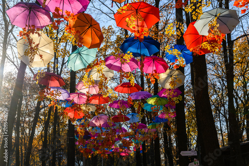 Many open umbrellas hanging above the head in city park