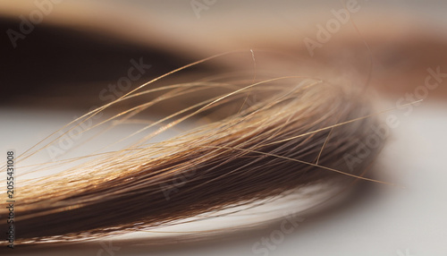 A single strand of hair becomes a sunlit horizon in a quiet, unreal close-up