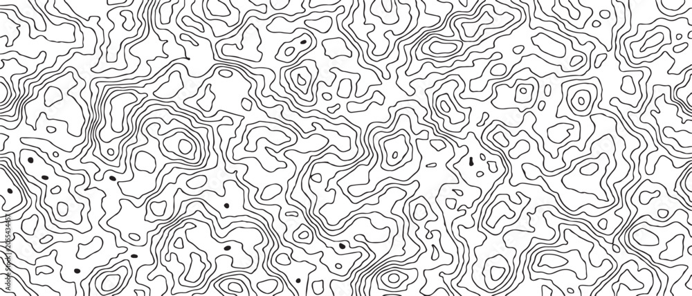Obraz premium Abstract black and white Topographic Contour Line Map Background Pattern for Cartography and Design.