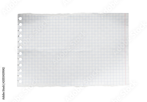 Torn graph paper sheet with blue grid lines and red stripe