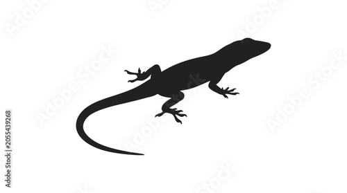 Fotografie Lizard Silhouette Against A White Background Minimalist Black Shape