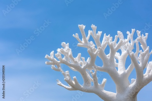 white tree branches, blue sky background