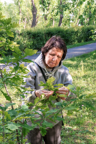 A senior woman is examining green leaves on a tree branch in a park.