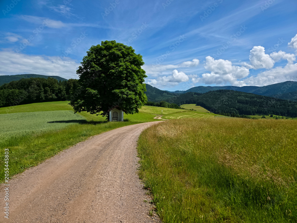 Fototapeta premium germany, magnificent old tree and tiny chapel beside curved hiking path beneath painted summer clouds