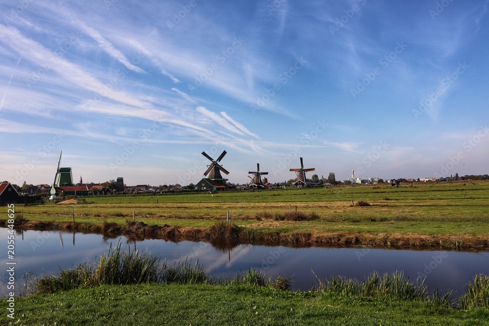 Fototapeta premium dutch landscape with windmill