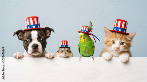 Group of cute pets wearing patriotic top hats behind a white border.