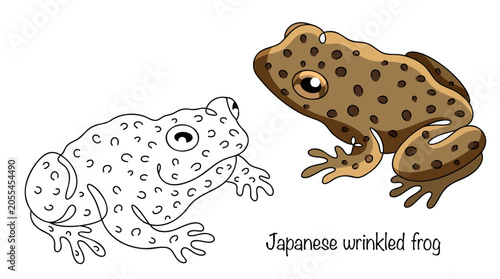 Japanese wrinkled frog