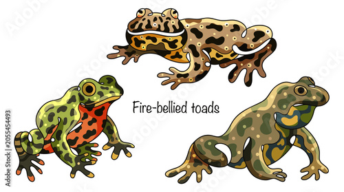 Fire-bellied toads