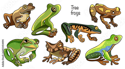 Canvas Print Tree frogs