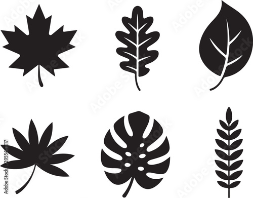 Obraz na plátne leaf clipart botanical leaf silhouettes maple oak monstera wheat