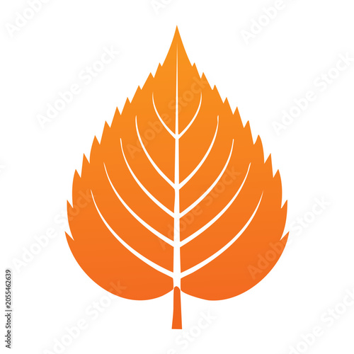 Orange leaf icon with white veins on white background